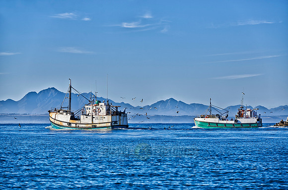 fishing vessels running out for fishing