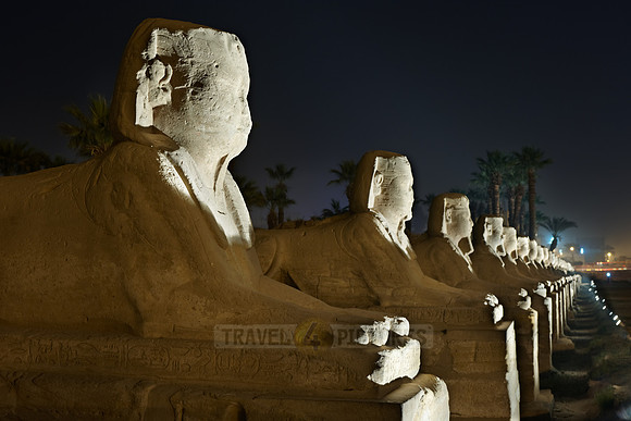 night shot way of sphinxes