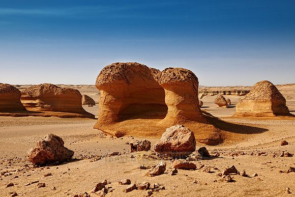 desert landscape at Wadi Hitan