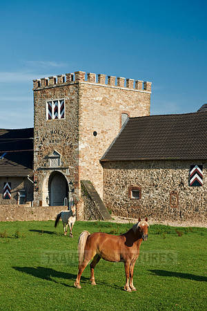 Holzheim castle