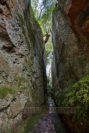 Etruscan path (Via Cava) connecting ancient necropolis