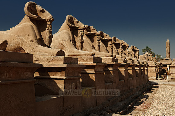 Corridor of ram-headed sphinxes at entrance