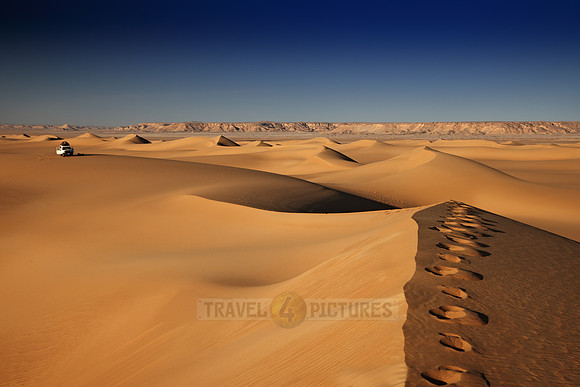 4x4 offroad car in desert landscape