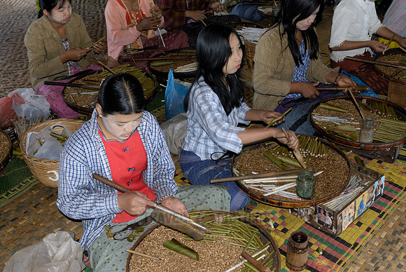 Local Intha cheroot-maker