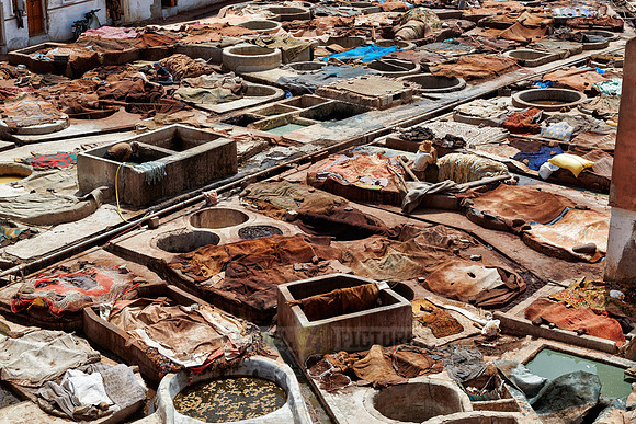 leather tannery