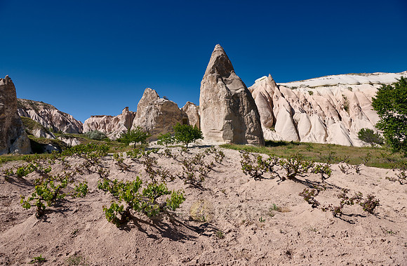 landscape of Rose Valley Goreme