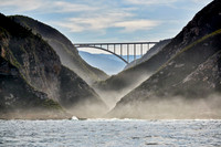 Bloukrans Bridge from seaside