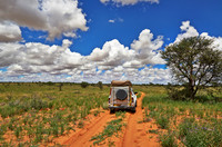 4x4 in Kgalagadi Transfrontier Park