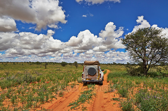 4x4 in Kgalagadi Transfrontier Park