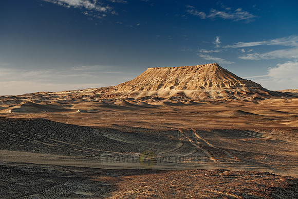 desert landscape