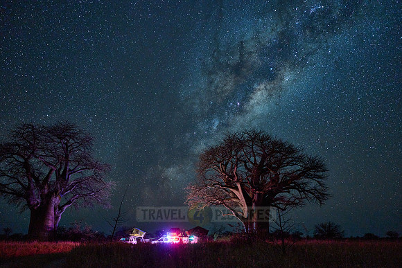 Night shot with Milky Way and Baobabs and camper at Baines Campsite 2