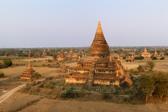 pagodas in the plain