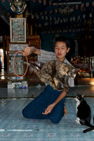 Jumping Cat in Nga Phe Kyaung Monastery