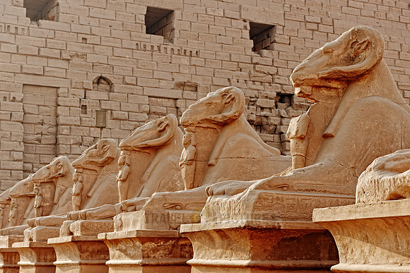 Corridor of ram-headed sphinxes at entrance