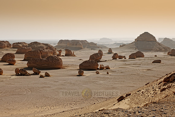 desert landscape at Wadi Hitan