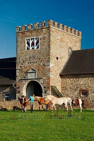 young lady with horses in front of Holzheim castle