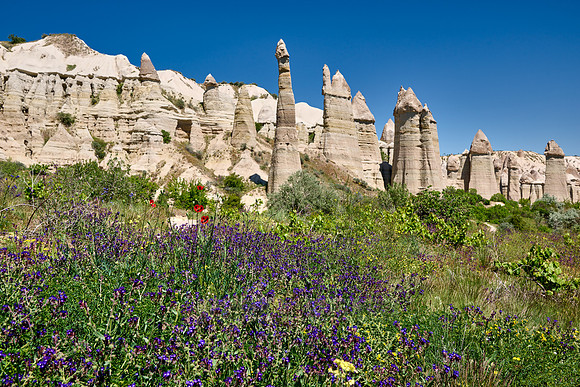 landscape with wild flowers of love valley near Göreme