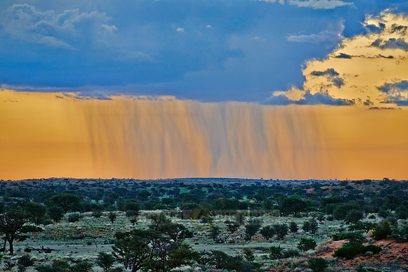 strong rain clouds during sunset