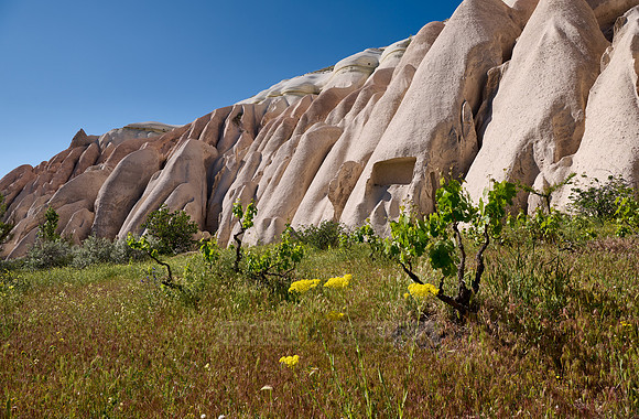 landscape of Rose Valley Goreme
