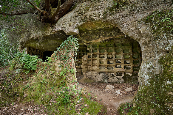 Etruscan tomb for urns called columbarium