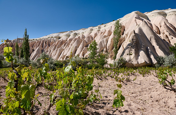 landscape of Rose Valley Goreme
