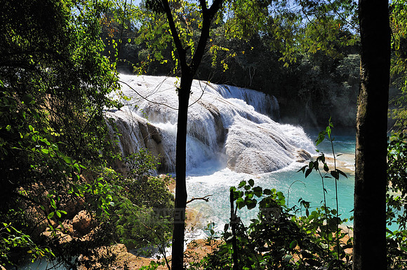 cascades of Agua Azul