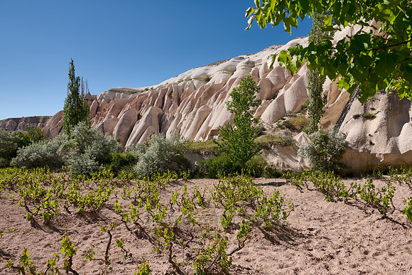 landscape of Rose Valley Goreme
