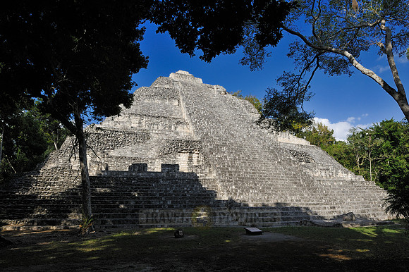 Estructura IX
