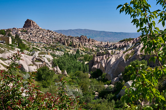 view into Pigeon Valley