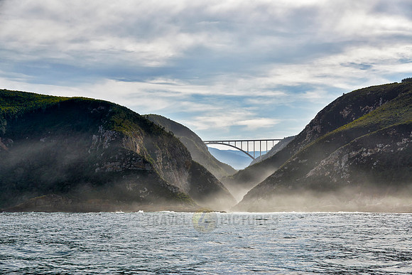 Bloukrans Bridge from seaside