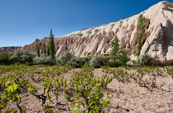 landscape of Rose Valley Goreme