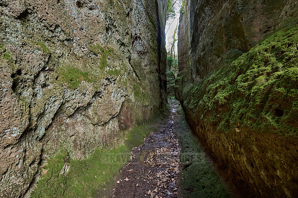 Etruscan path (Via Cava) connecting ancient necropolis