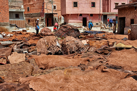 leather tannery