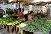Zegyo Market