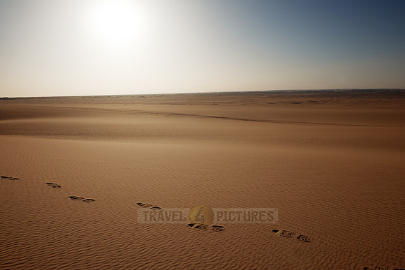 desert landscape with sand dunes