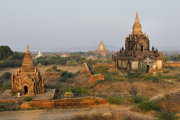 Ballons over Bagan