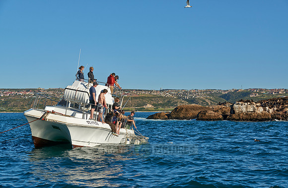 cage diving boat with tourists waiting for the Great White Shark