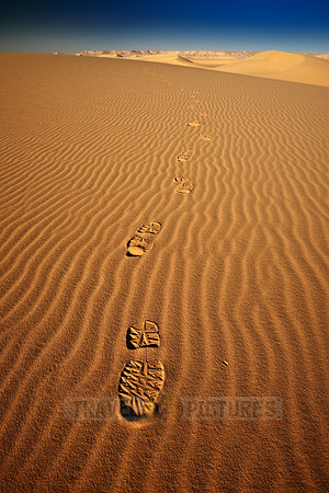 tracks in the desert sands in landscape dunes