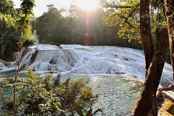 cascades of Agua Azul