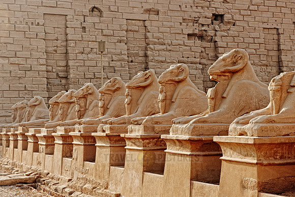 Corridor of ram-headed sphinxes at entrance