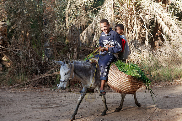 locals on donkey