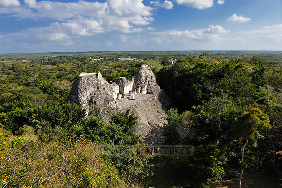 Estructura VIII