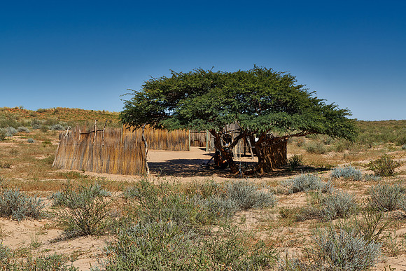 Bushmen village