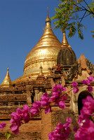 Dhamma-Ya-Zi-Ka-Pagoda