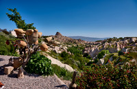 view into Pigeon Valley