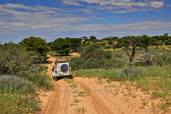 4x4 car in Mabuasehube