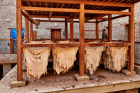 refurbished leather tannery in Old Fez