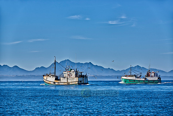fishing vessels running out for fishing