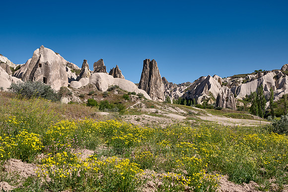 landscape of Rose Valley Goreme