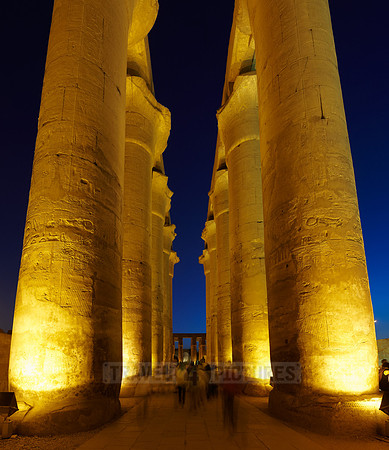 night shot of colonnade inside Temple of Luxor